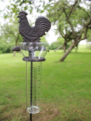 Cast Iron and Glass Garden Rain Gauge, Chicken