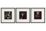 Set of 3 Forest Animal Head Prints Picture Art 40x40cm