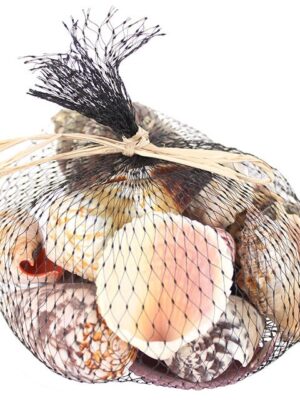 350grms Shells in Black Net