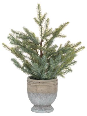 Garda Pine Tree In Stone Pot