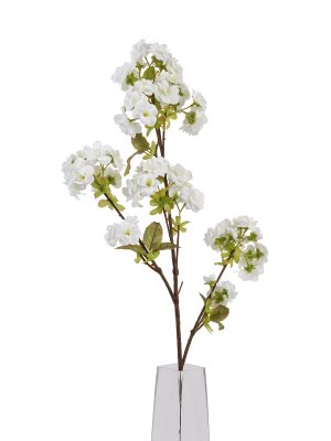 Tall White Blossom