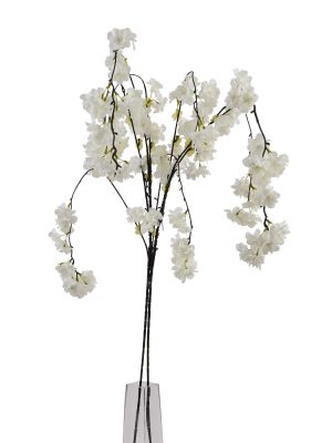 Large White Cherry Blossom Stem