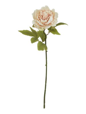 The Natural Garden Collection Blush Peony