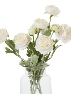 The Natural Garden Collection Apricot Ranunculus