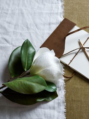 White Magnolia Stem