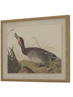 Flora & Fauna Collection Duck On Linen In Beaded Frame