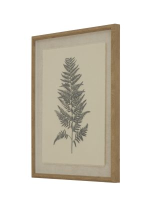 Flora & Fauna Collection Beech Fern On Linen In Beaded Frame