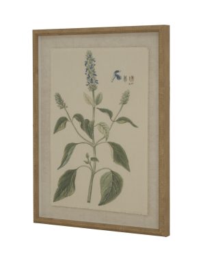 Flora & Fauna Collection Salvia On Linen In Beaded Frame