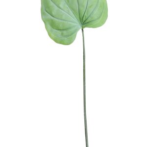 Large Hosta Leaf Green (56cm)