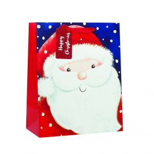 Santa Large Bag