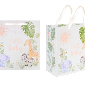Hello Baby Gift Bag