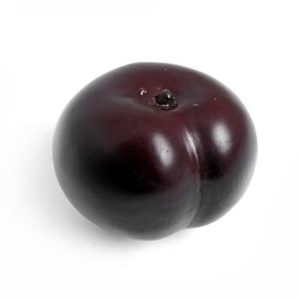 Artificial Plum