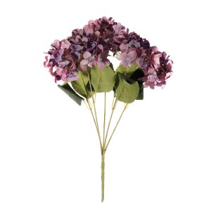 Essential Purple Hydrangea Bush (36cm)