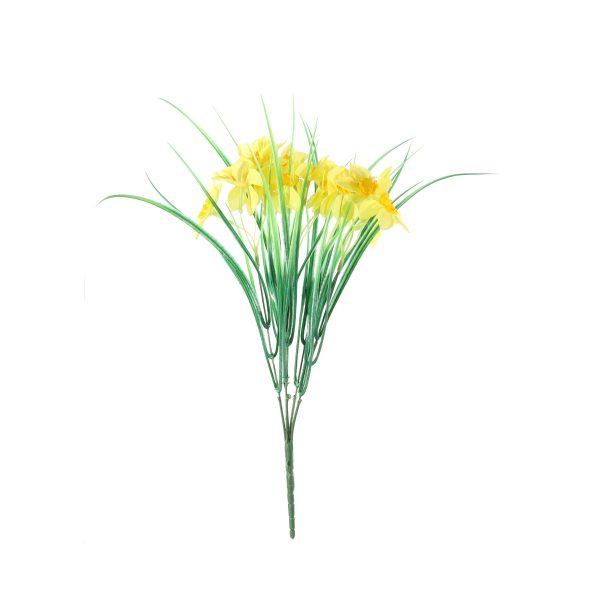 Essential Yellow Wild Daffodil Bunch