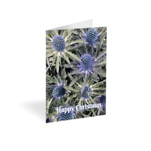 Christmas Blue Sea Holly Folded Card (Pack of 25)