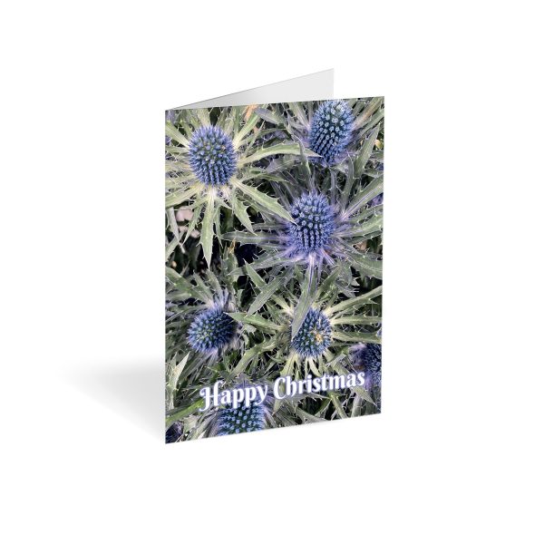 Christmas Blue Sea Holly Folded Card (Pack of 25)