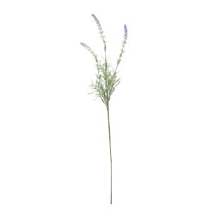 Essential Lavender Stem