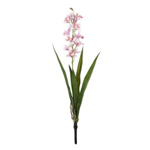 Botanica Mini Pink Cymbidium Plant (45cm)