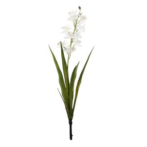 Botanica Mini White Cymbidium Plant (45cm)