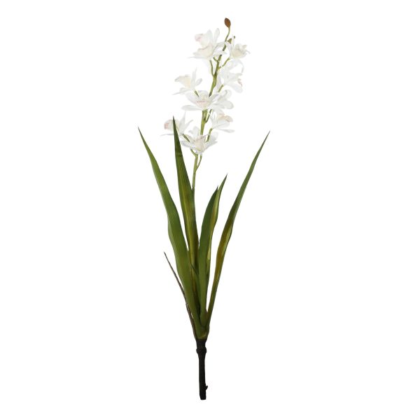 Botanica Mini White Cymbidium Plant (45cm)