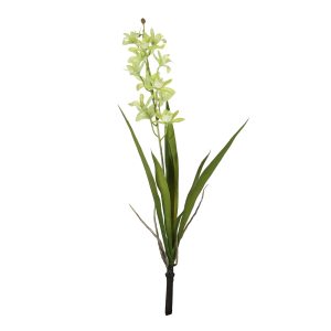 Botanica Mini Green Cymbidium Plant (45cm)