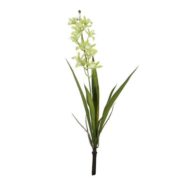 Botanica Mini Green Cymbidium Plant (45cm)