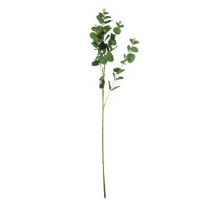 Green Eucalyptus Spray