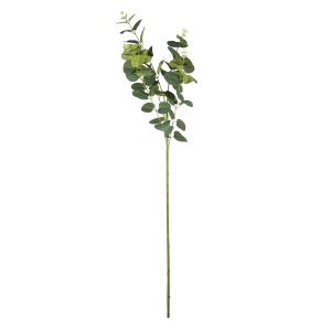 Light Green Eucalyptus Spray