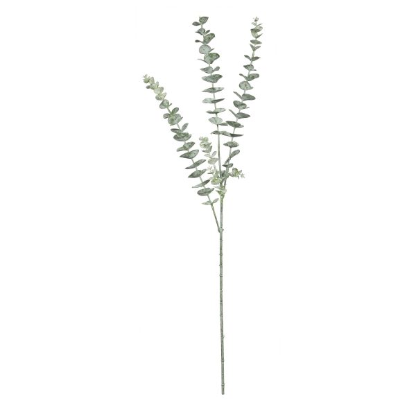 Essential Grey Eucalyptus Spray