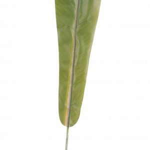 Single Plastic Bird's Nest Fern Leaf 28 inch