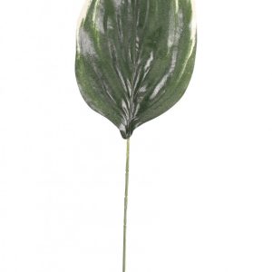 Green Hosta Single Leaf 26 inch