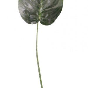 Green Hosta Single Leaf 23 inch