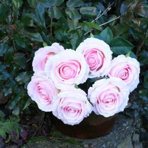 Rose Bunch Pink