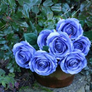 Rose Bunch Blue